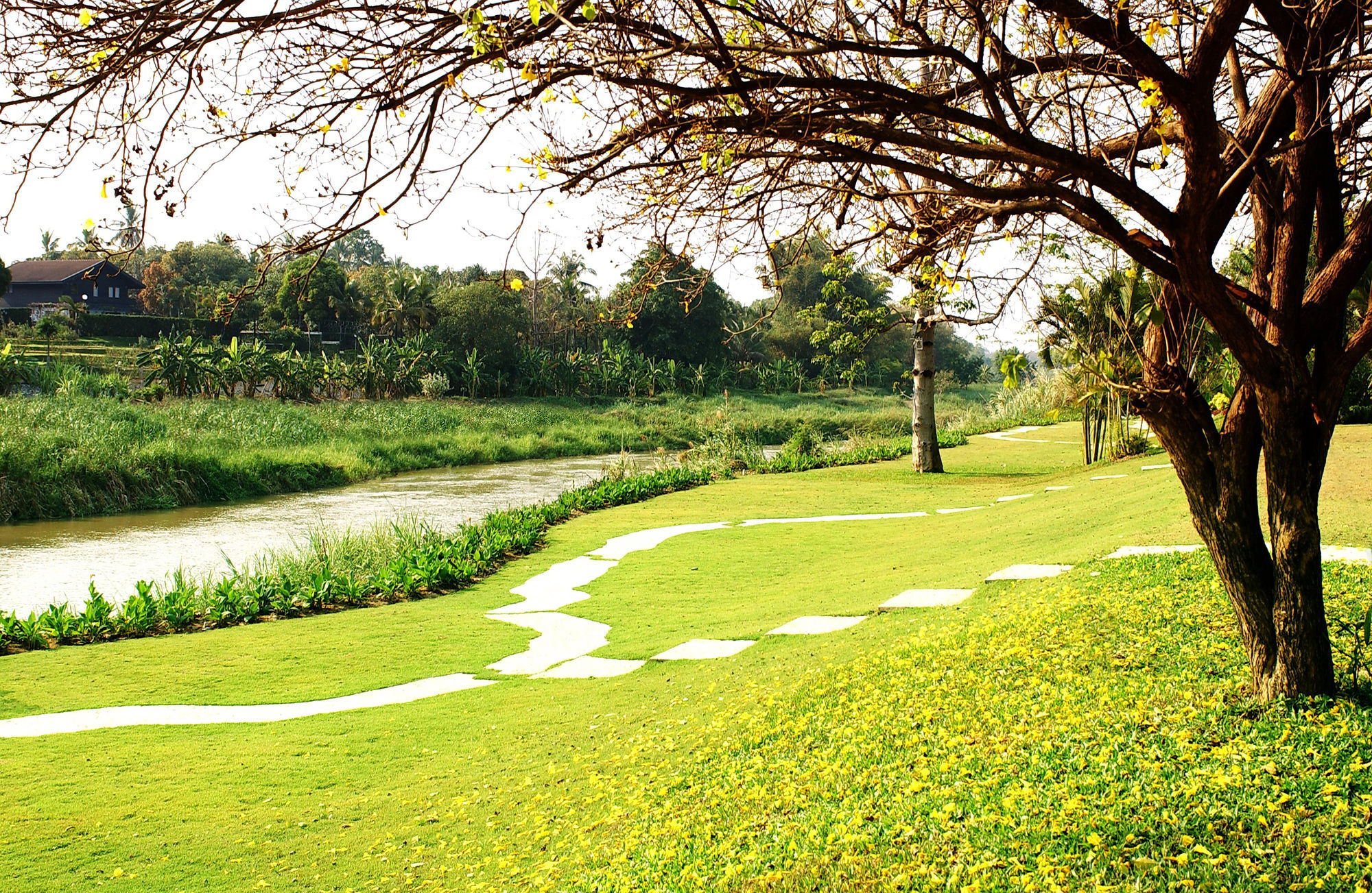 Fueng Fah Riverside Gardens Resort Mae Rim Eksteriør bilde